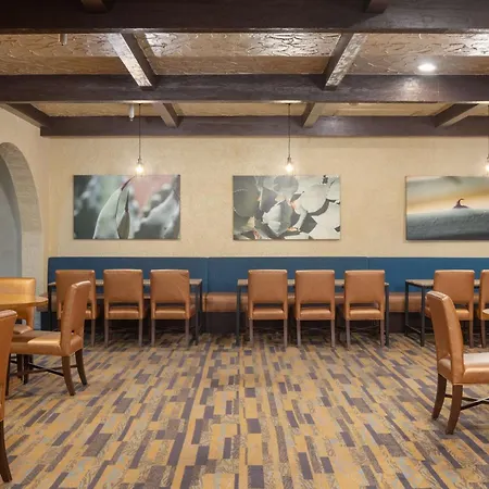 Doubletree Suites By Hilton Tucson-Williams Center-3